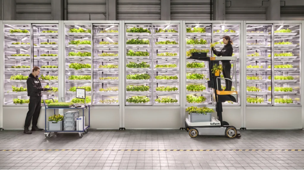 Dutch urban farming startup gets backing from Qatar wealth fund